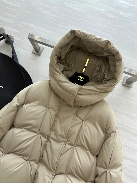 Loewe hooded down jacket